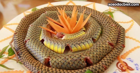 Giải mã giấc mơ thấy ăn thịt rắn là điềm gì, tốt hay xấu?