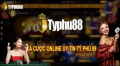 Nhà cái TyPhu88 – Sân chơi cá cược trực tuyến uy tín hàng đầu