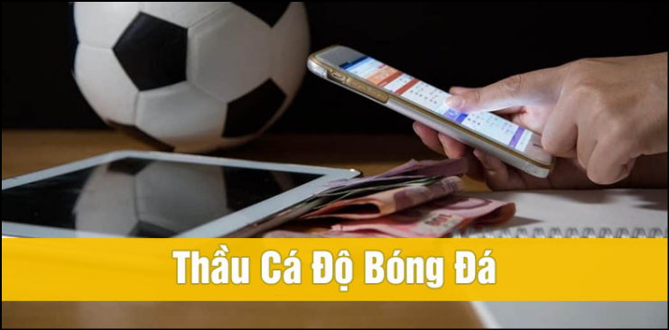 Ưu và nhược điểm khi chơi qua thầu bóng đá Ưu và nhược điểm khi chơi qua thầu bóng đá