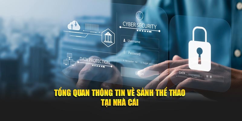 Tổng quan thông tin về sảnh thể thao tại nhà cái