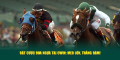 Đặt Cược Đua Ngựa Tại Cwin05: Mẹo Lớn, Thắng Đậm!
