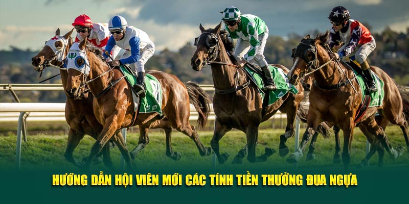 Hướng dẫn hội viên mới các tính tiền thưởng đua ngựa Hướng dẫn hội viên mới các tính tiền thưởng đua ngựa