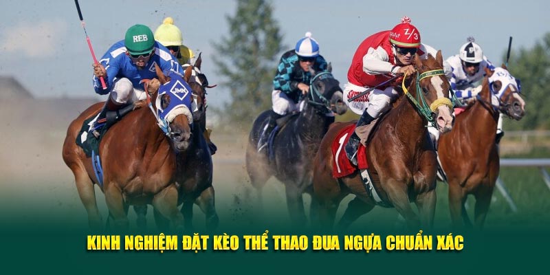 Kinh nghiệm đặt kèo thể thao đua ngựa chuẩn xác Kinh nghiệm đặt kèo thể thao đua ngựa chuẩn xác