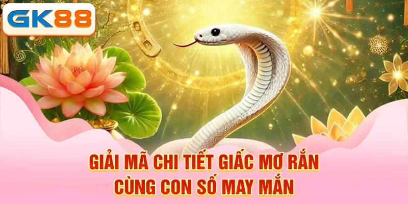  Giải mã chi tiết giấc mơ rắn cùng con số may mắn