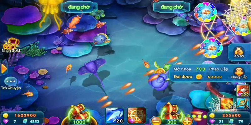 Chiến thuật săn cá hiệu quả 3in1bet