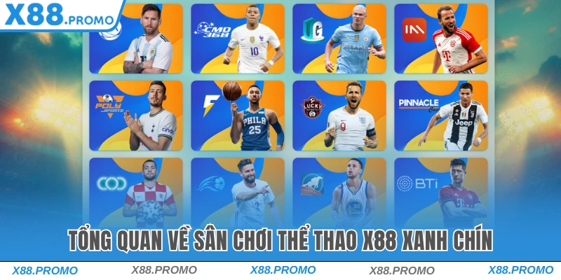 Khái Quát Về Sảnh Thể Thao X88 Khái Quát Về Sảnh Thể Thao X88