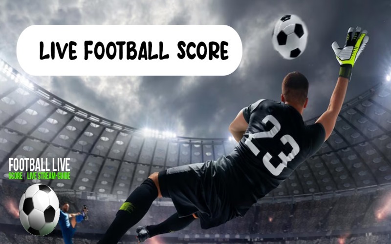 Cách sử dụng Bongdalu Livescore hiệu quả Cách sử dụng Bongdalu Livescore hiệu quả