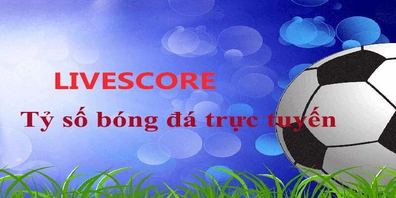Hướng dẫn cách sử dụng công cụ Livescore 7M Hướng dẫn cách sử dụng công cụ Livescore 7M