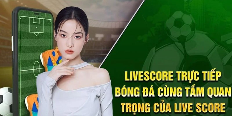 Các tính năng hữu ích khác của Livescore 7M Các tính năng hữu ích khác của Livescore 7M