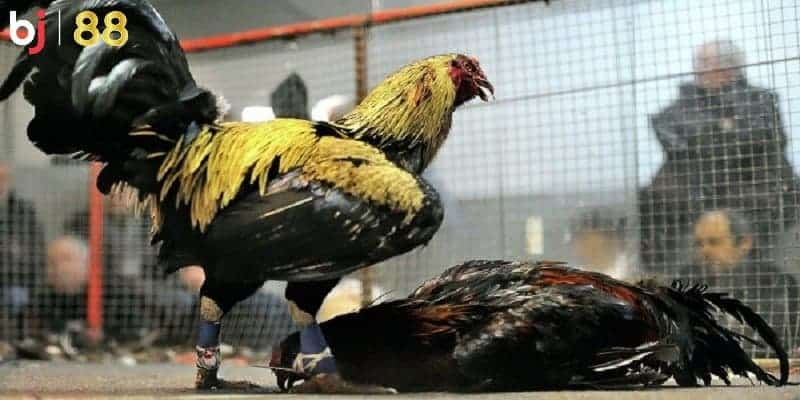 Bảo Mật Tiên Tiến – Đảm Bảo An Toàn Tuyệt Đối Hàng Đầu 2025 Bảo Mật Tiên Tiến – Đảm Bảo An Toàn Tuyệt Đối Hàng Đầu 2025