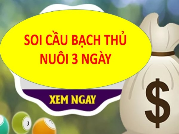 Hiểu rõ về chiến thuật Nuôi bạch thủ 3 ngày Hiểu rõ về chiến thuật Nuôi bạch thủ 3 ngày