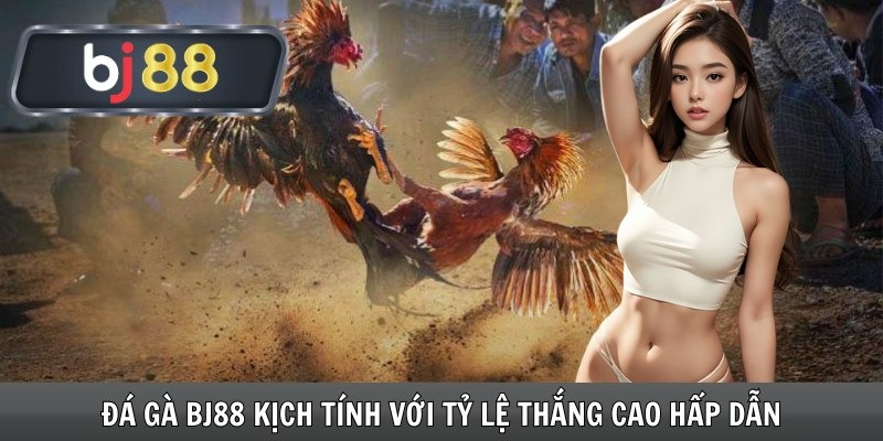 Tổng quan về đá gà BJ88 Tổng quan về đá gà BJ88