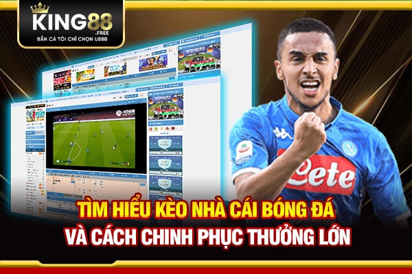 Cách sử dụng Bongdalu Livescore hiệu quả Cách sử dụng Bongdalu Livescore hiệu quả